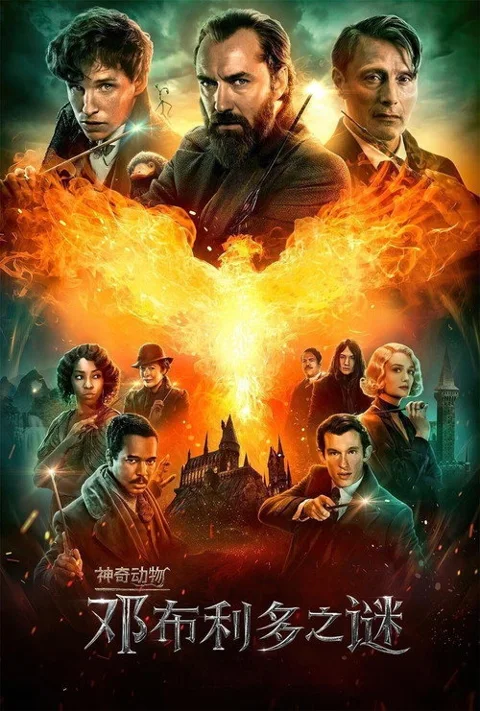 《神奇动物:邓布利多之谜》封面