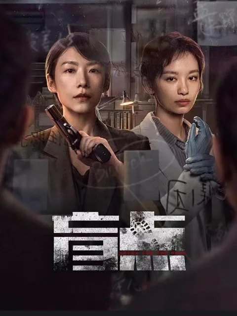 《盲点》封面