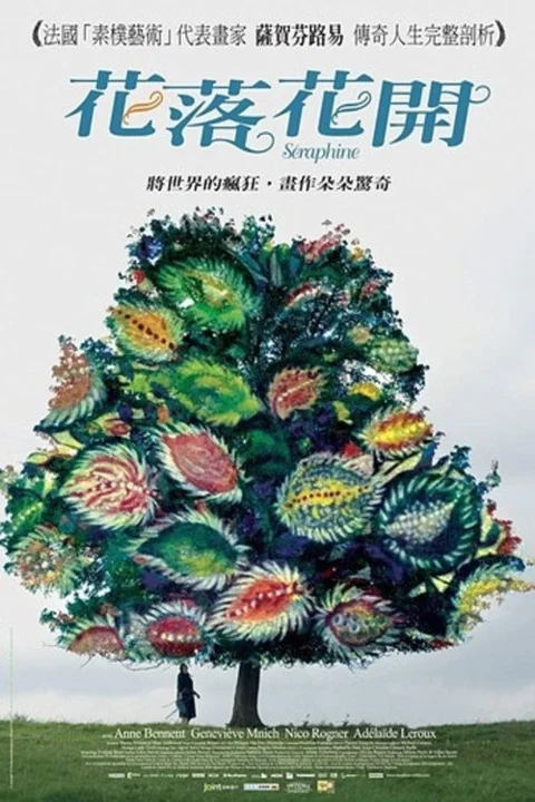 《花落花开》封面