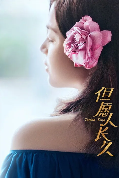 《但愿人长久》封面