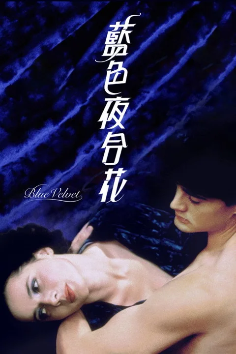 《蓝丝绒》封面