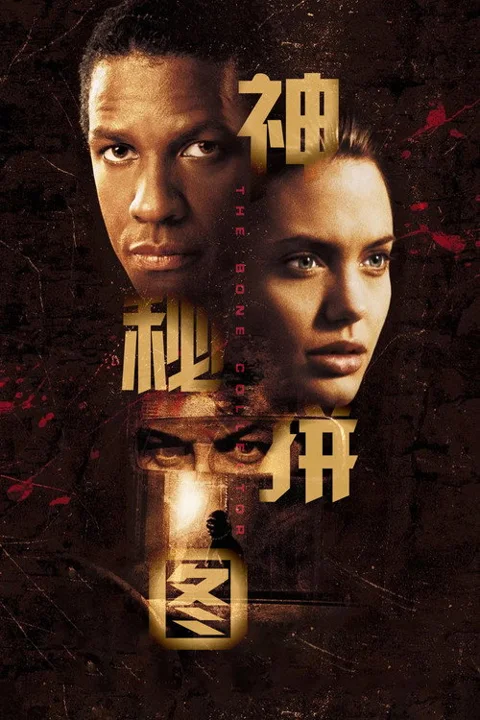 《神秘拼图》封面