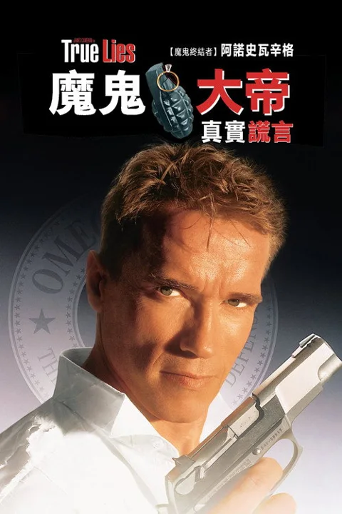 《真实的谎言》封面