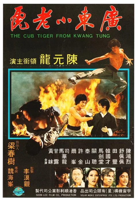 《广东小老虎》封面