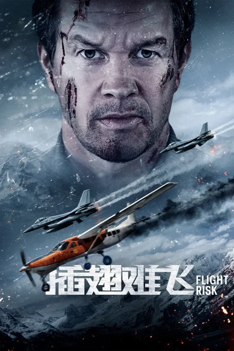 《插翅难飞.Flight.Risk》封面