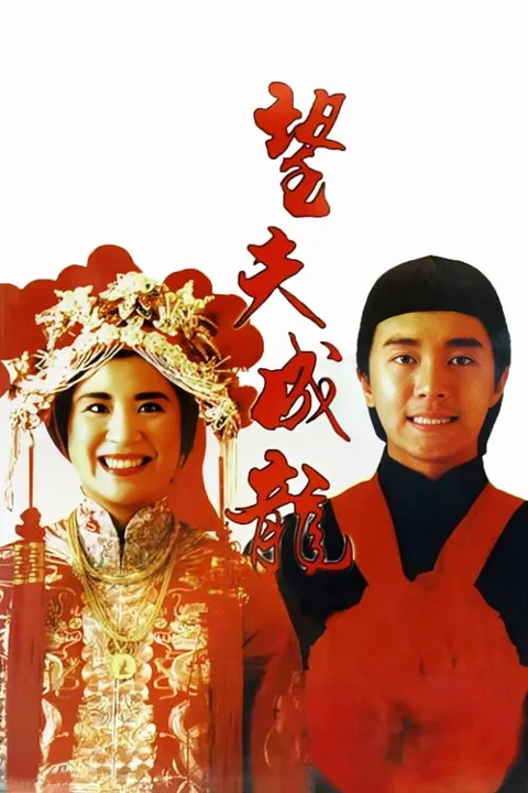 《望夫成龙》封面