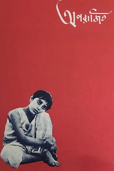 《大河之歌》封面