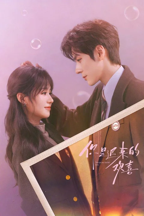 《你是迟来的欢喜》封面
