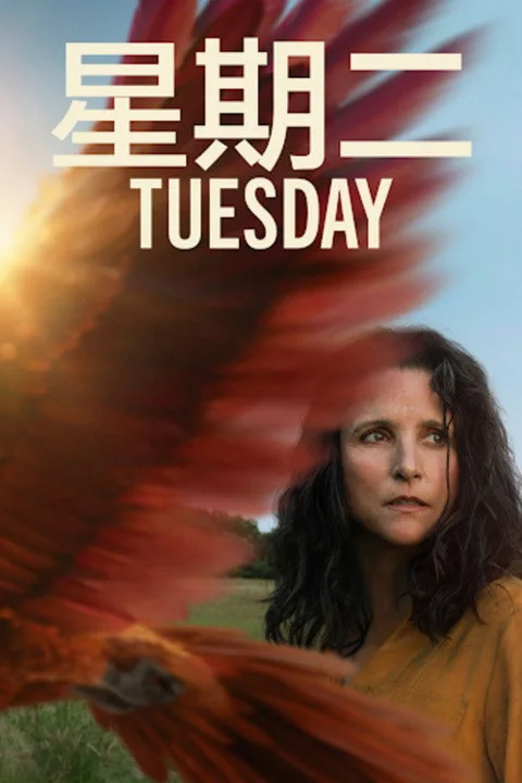 《星期二》封面