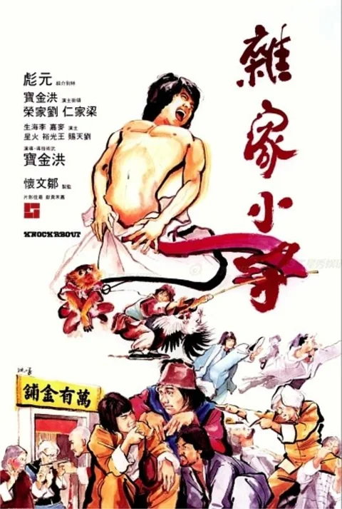 《杂家小子》封面