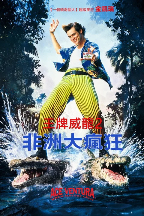 《神探飞机头2》封面