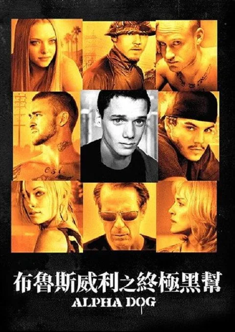 《阿尔法狗》封面