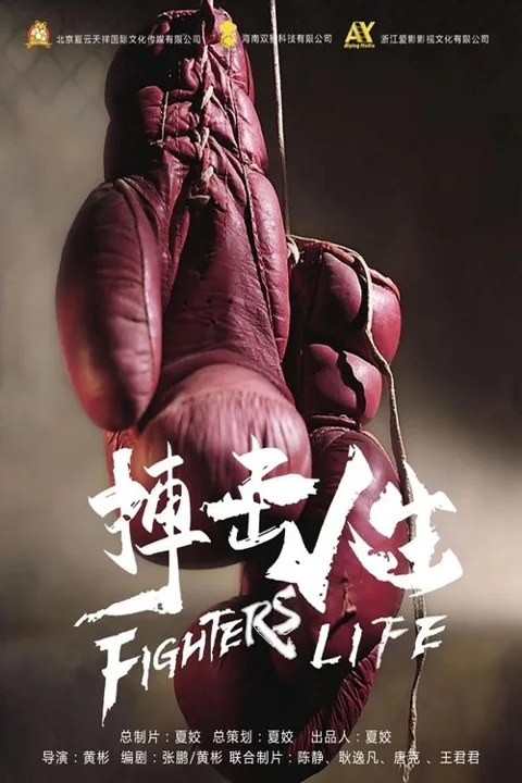 《搏击人生》封面