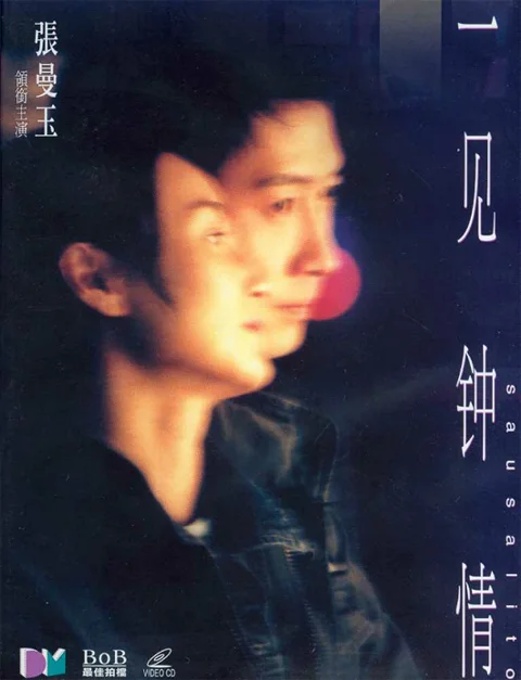 《一见钟情》封面