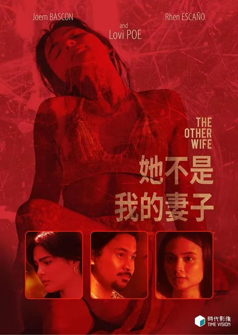 《她不是我的妻子》封面