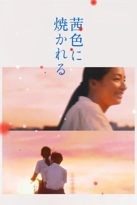 《茜色如烧》封面