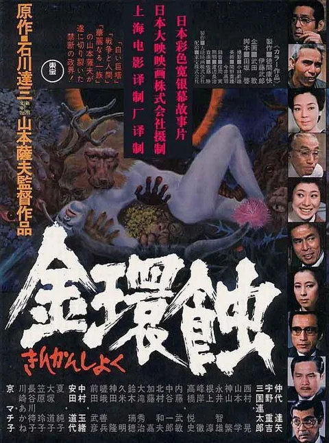 《金环蚀》封面