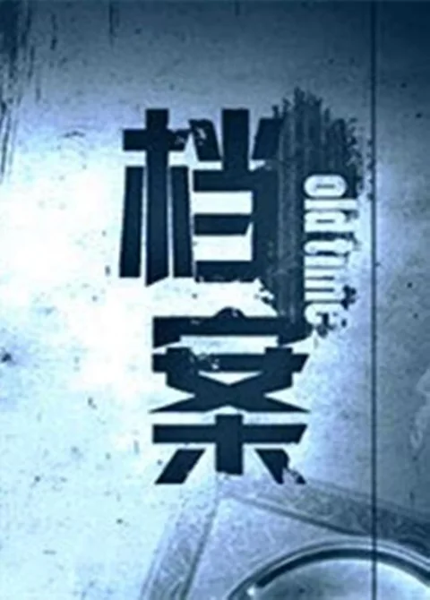 《档案》封面