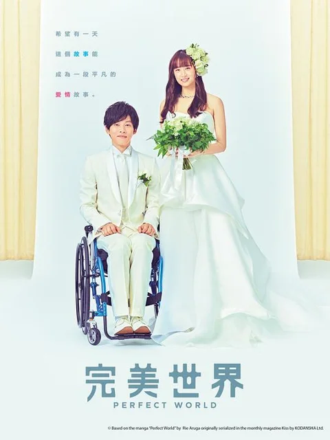 《完美的世界》封面