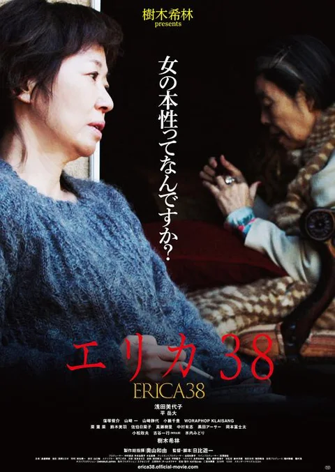 《38岁的伊丽卡》封面